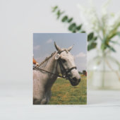 実行待ち – カスタマイズ  ポストカード (スタンド正面)