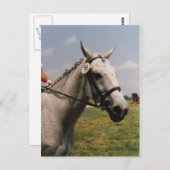 実行待ち – カスタマイズ  ポストカード (正面/裏面)