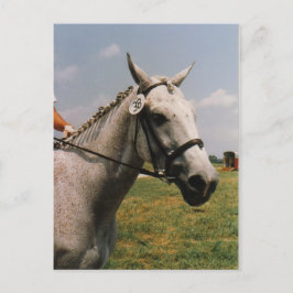 実行待ち – カスタマイズ  ポストカード