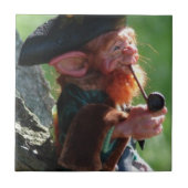 実質の小妖精 タイル (正面)