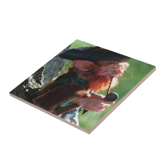 実質の小妖精 タイル (側面)