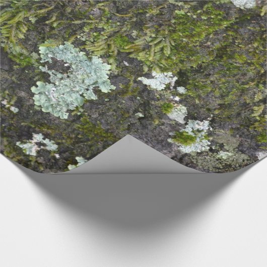 実質の木の写真撮影の迷彩柄の包装紙 ラッピングペーパー (角)