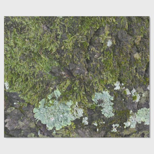 実質の木の写真撮影の迷彩柄の包装紙 ラッピングペーパー (フラット)