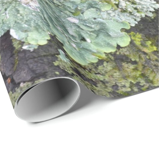 実質の木の写真撮影の迷彩柄の包装紙 ラッピングペーパー (ロールコーナー)