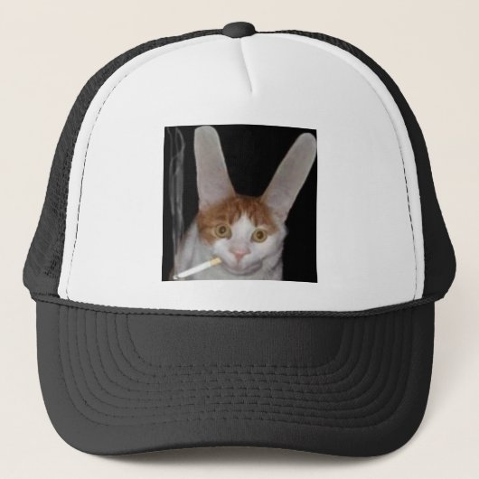 実質の生きているcabbit キャップ (正面)