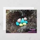 実質の鳥の巣のパステル調のイースターエッグは撮影します シーズンポストカード (正面/裏面)