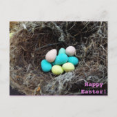 実質の鳥の巣のパステル調のイースターエッグは撮影します シーズンポストカード (正面)