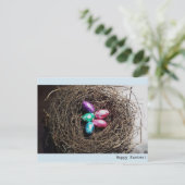 実質の鳥の巣の明るいイースターエッグは撮影します シーズンポストカード (スタンド正面)