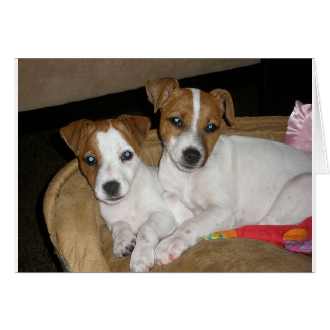 実質愛 (正面横)