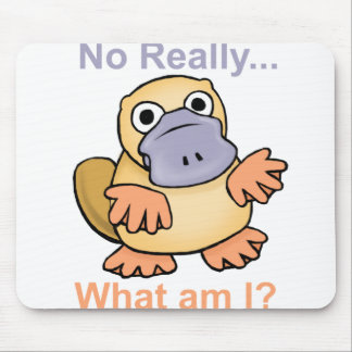実際に… 私は何ですか。 Platypus マウスパッド