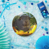 実際のところかわいいモルモット ペーパープレート (パーティー)