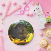 実際のところかわいいモルモット ペーパープレート (パーティー)