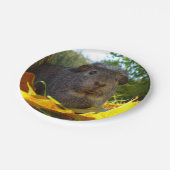 実際のところかわいいモルモット ペーパープレート (アングル)