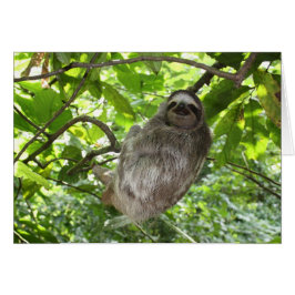 実際のところリラックスした怠惰