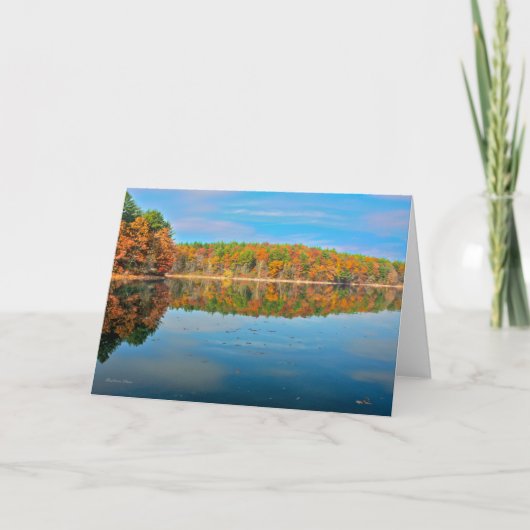 実際のところ孤独の友達 カード (正面)