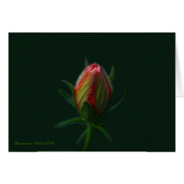 実際のところ活気付くモモのハイビスカスの花の精神