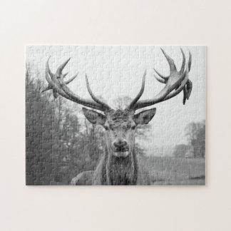 実際のところ美しい ジグソーパズル