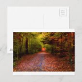 実際のところ道 ポストカード (正面/裏面)