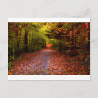 実際のところ道 ポストカード