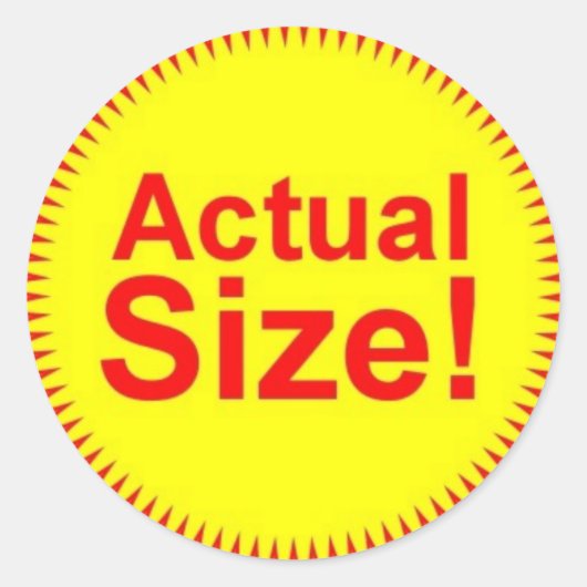 実際のサイズステッカー ラウンドシール (正面)