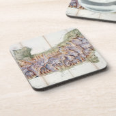 実際の調査からのモンブランの鎖、 コースター (左側)