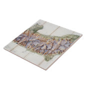 実際の調査からのモンブランの鎖、 タイル (側面)