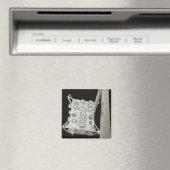 実験モジ日本のュール露出設備2 マグネット (インサイチュ (食洗機))