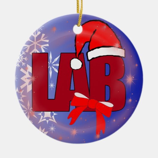 実験室のサンタのクリスマスのオーナメント セラミックオーナメント (正面)