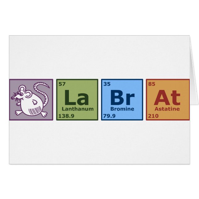 実験室のラット (正面横)