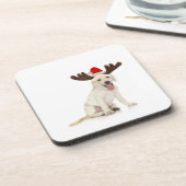 実験室の子犬の身に着けている(雄ジカの)枝角 コースター (左側)