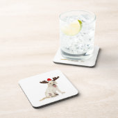 実験室の子犬の身に着けている(雄ジカの)枝角 コースター (右側)