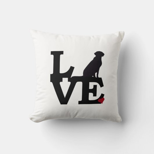 実験室の枕 クッション (正面)