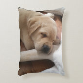 実験室愛枕 アクセントクッション (正面(垂直))