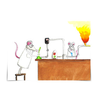 実験用ねずみ「やったな！」 おめでとうカード部1 カード