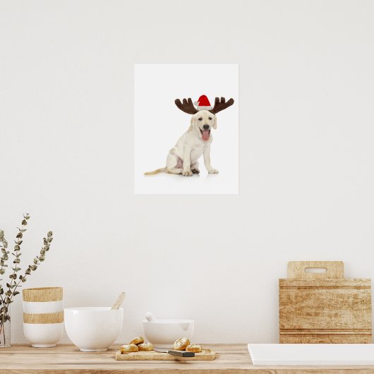 実験用の子犬の着用〔雄ジカの〕枝角 ポスター (キッチン)