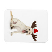 実験用の子犬の着用〔雄ジカの〕枝角 マグネット (横)