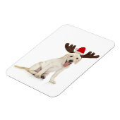 実験用の子犬の着用〔雄ジカの〕枝角 マグネット (左側)