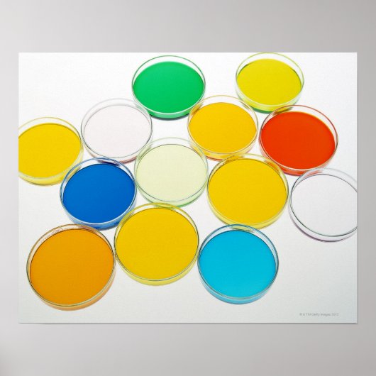 実験用ディッシュ2 ポスター (正面)