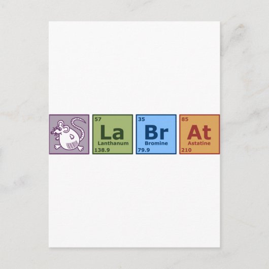 実験用ラット ポストカード (正面)