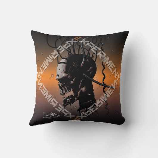 実験 クッション (裏面)