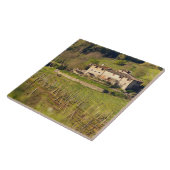 客を受け入れる作業場「アスチュイト」 タイル (側面)