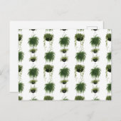 室内オアシス |のぶら下がったバスケット ポストカード (正面/裏面)