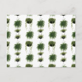 室内オアシス |のぶら下がったバスケット ポストカード (正面)