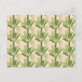 室内オアシス |ヤシの木のパターン ポストカード (正面)