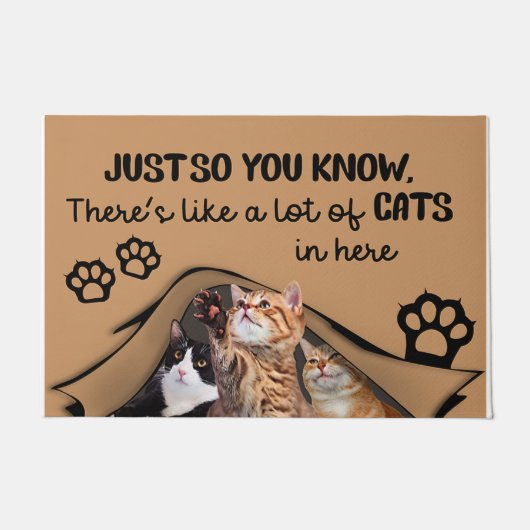 室内マット、猫が多い ドアマット (正面)