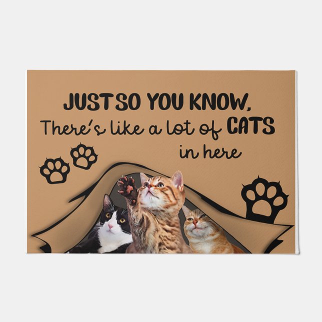 室内マット、猫が多い ドアマット (正面)