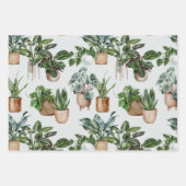 室内植物包み紙シート ラッピングペーパーシート (正面)