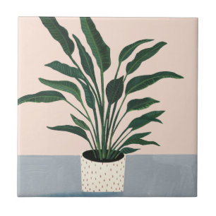 室内用植物 タイル