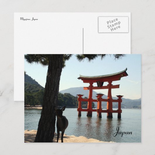 宮島鹿 ポストカード (正面/裏面)