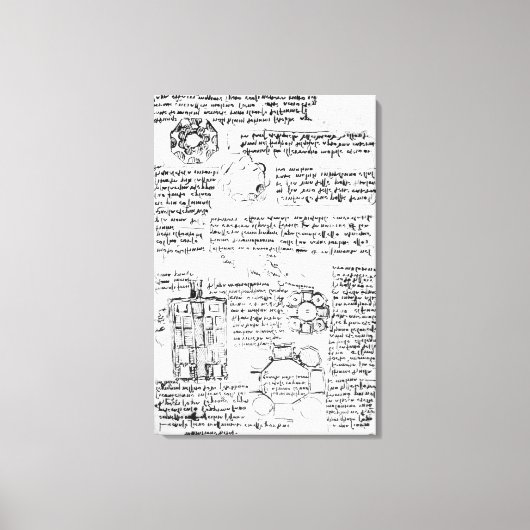 宮殿と公園のデザイン キャンバスプリント (正面)